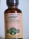 CATNIP FOR PEOPLE? WHY YES INDEED!! A MUST READ
