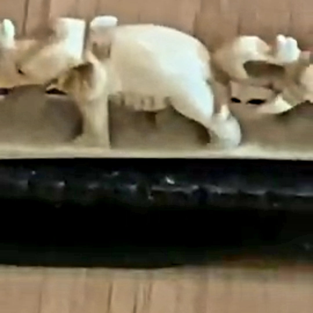 Parade of Wealth