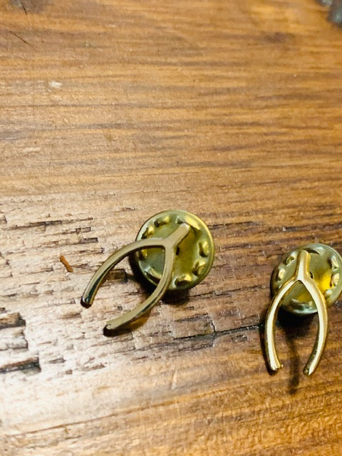 Double-Pinned Luck in Wealth