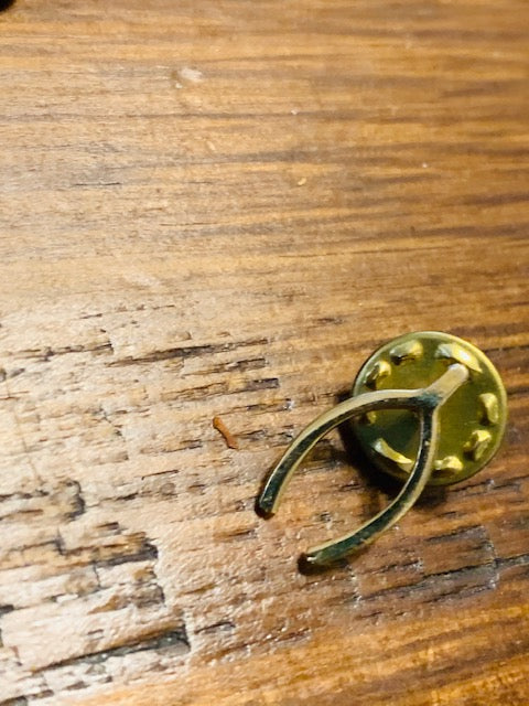 Double-Pinned Luck in Wealth