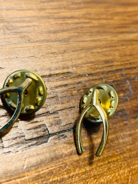 Double-Pinned Luck in Wealth