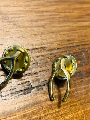 Double-Pinned Luck in Wealth