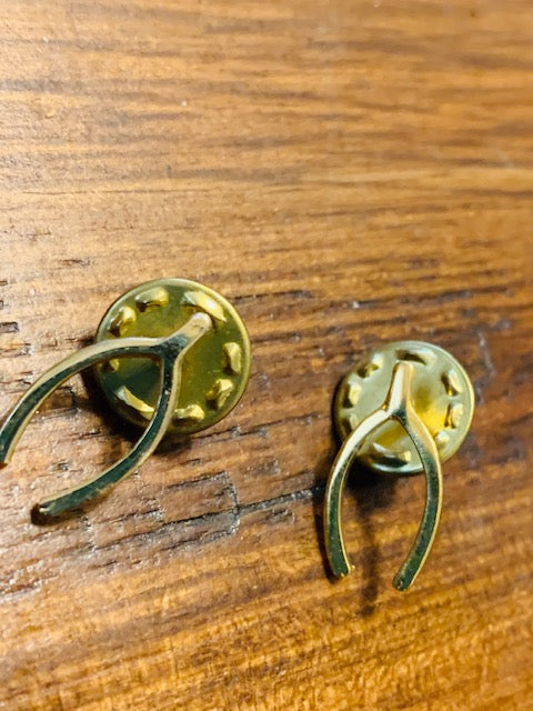Double-Pinned Luck in Wealth