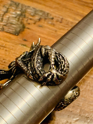 Dragons of Charlemagne
