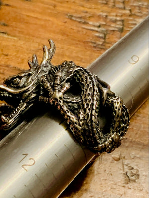 Dragons of Charlemagne