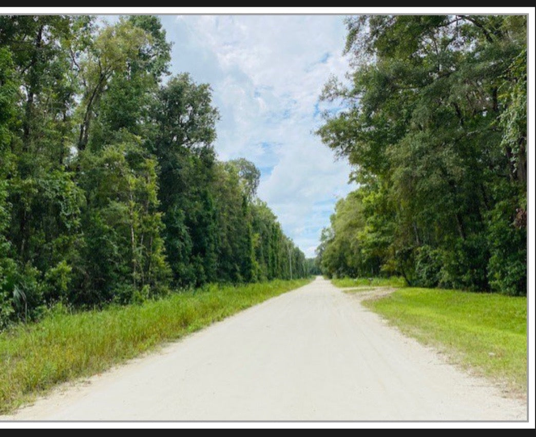 Land for Living-- NOT PART OF THE SALE!