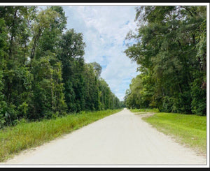 Land for Living-- NOT PART OF THE SALE!