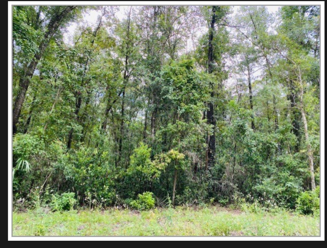 Land for Living-- NOT PART OF THE SALE!