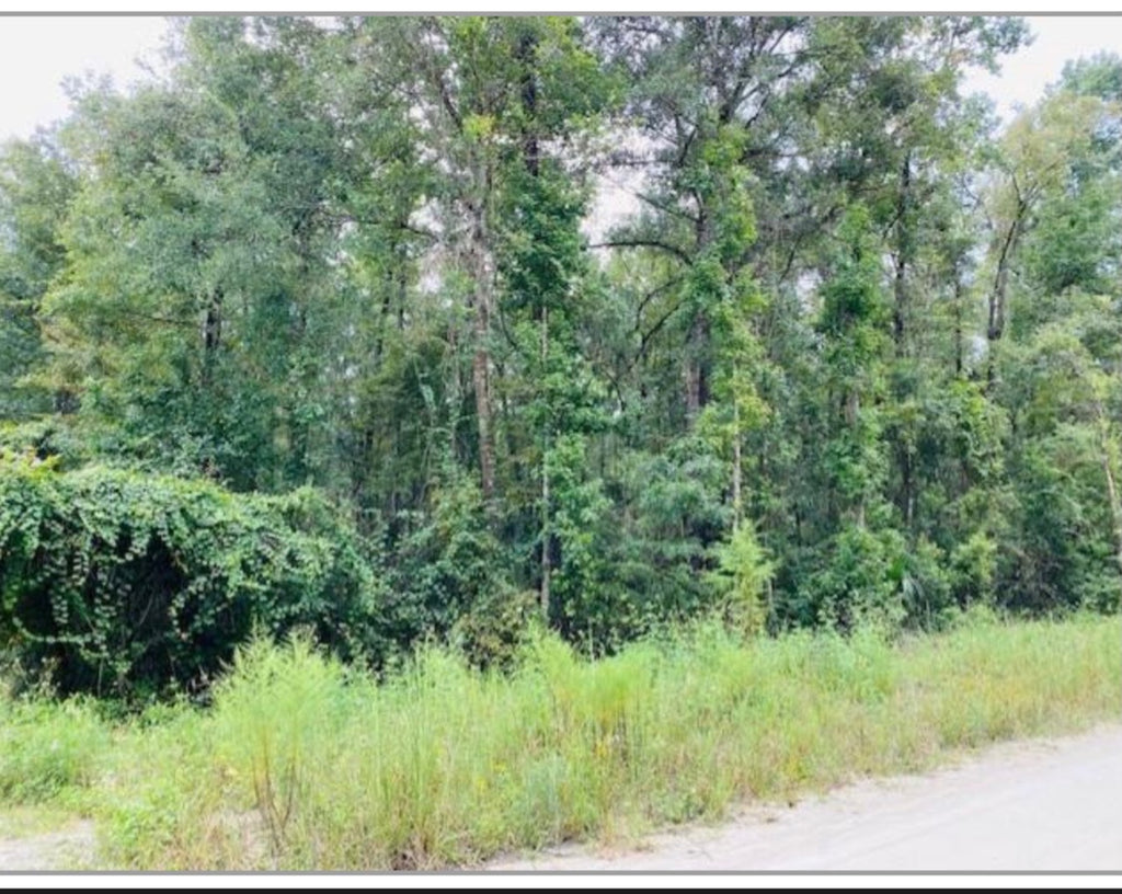 Land for Living-- NOT PART OF THE SALE!