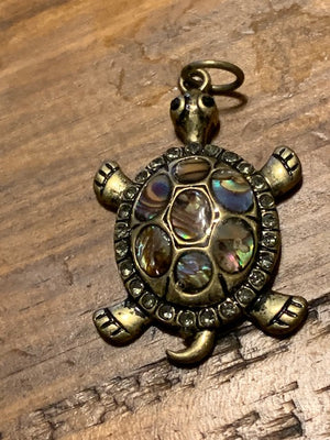 The Luckiest (and Wealthiest) Turtle