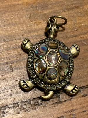 The Luckiest (and Wealthiest) Turtle