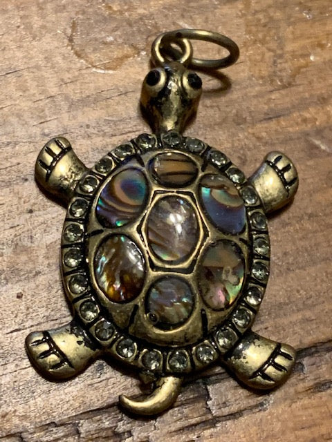 The Luckiest (and Wealthiest) Turtle