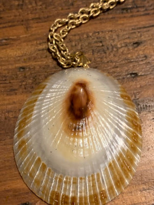 Metaphysical Boob Job & Health