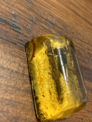 The Nails that Pierced Christ