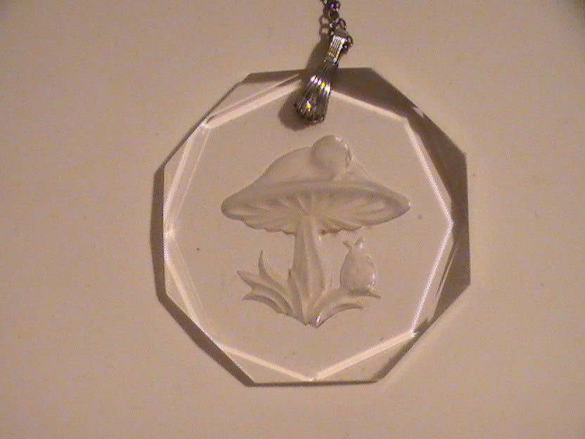 Magic Little Mushroom