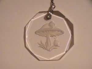 Magic Little Mushroom