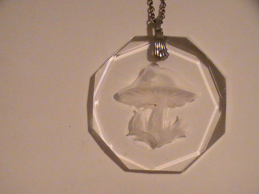 Magic Little Mushroom