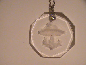 Magic Little Mushroom