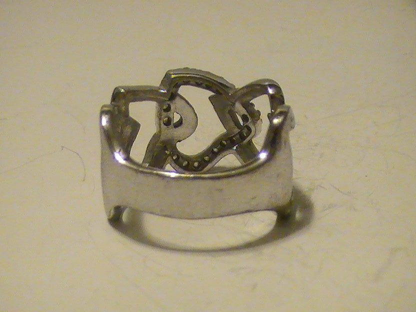 The Svetloya Believers