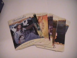 TAROT TOUCHED BY THE FLESH-7