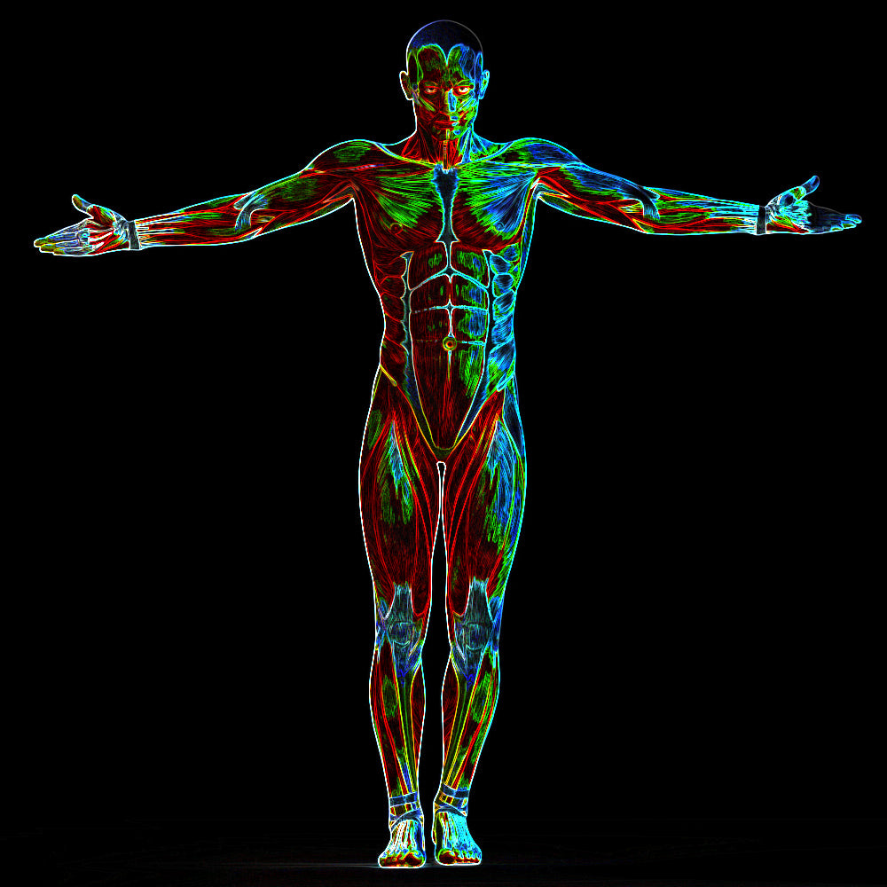 SHINES WITH POWER LIKE SHINE,MULTI-TASKING