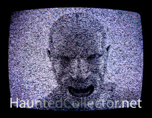 THE NEWEST OWL FROM BOHEMIAN GROVE,ONLY ONE