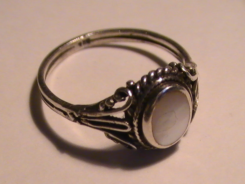 JANUS 13