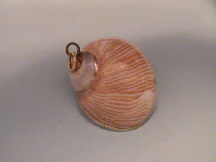 SEXY MERMAIDS OF WEALTH AND WONDER-7