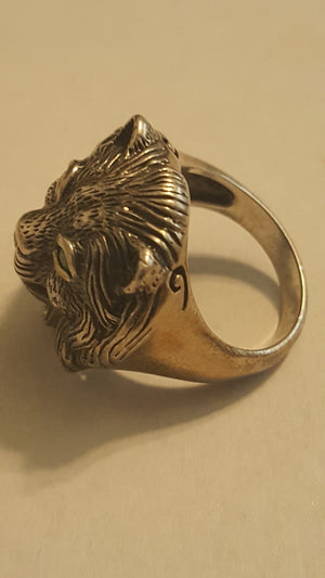 The Lions of Judah