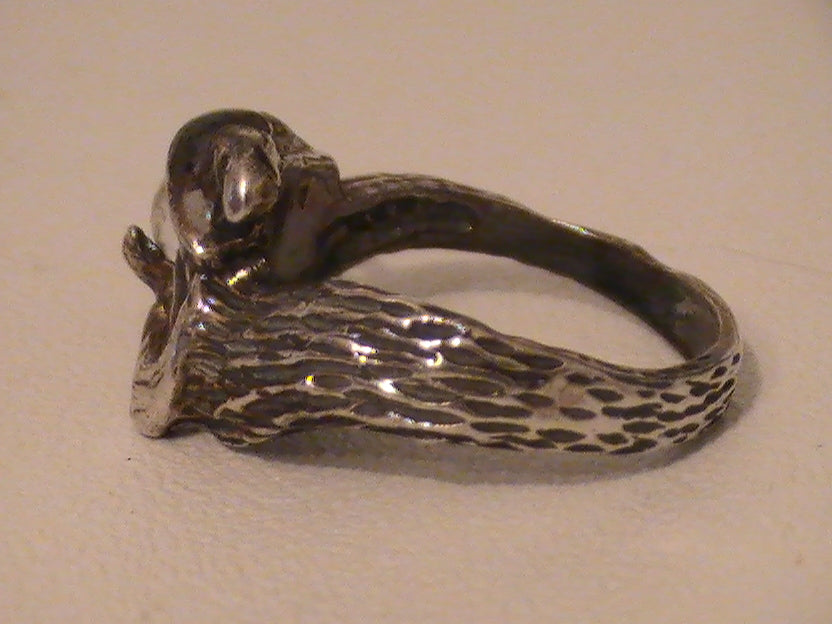 Order of the Arcanum:  Destinal Cosmology (1)