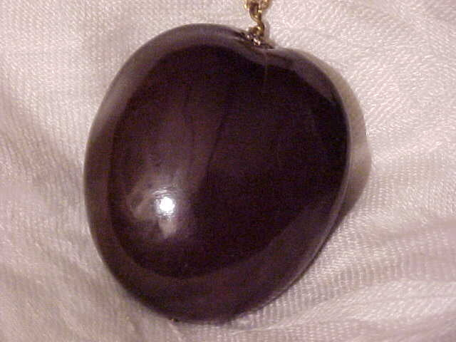 PLANT YOUR OWN MAGIC